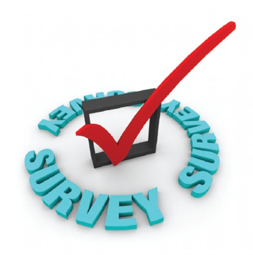 survey.jpg